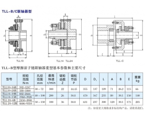 TLL-B聯(lián)軸器型扭矩限制器